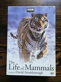 洋画・外国映画 DVD BBC THE LIFE OF MAMMALS 71Mfd6B7-+L._AC_UF350,